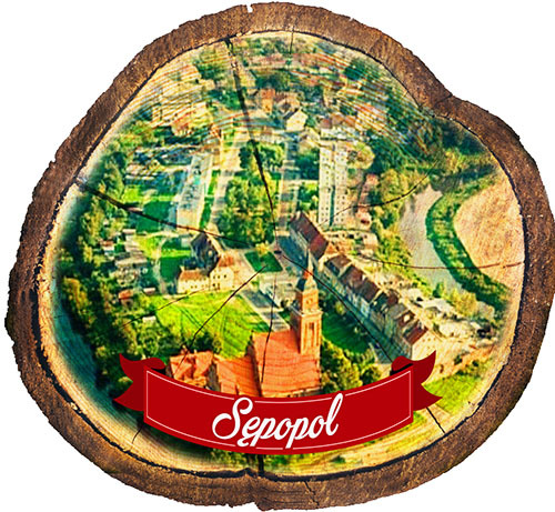 Magnes drewniany pieniek Sępopol