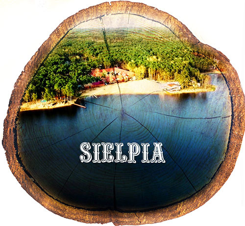 Magnes drewniany pieniek Sielpia