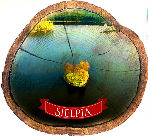 Magnes drewniany pieniek Sielpia