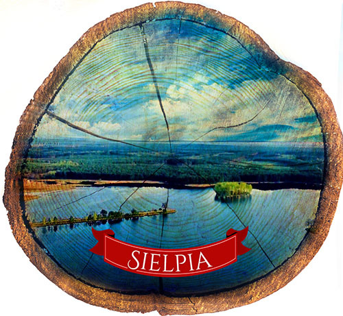 Magnes drewniany pieniek Sielpia