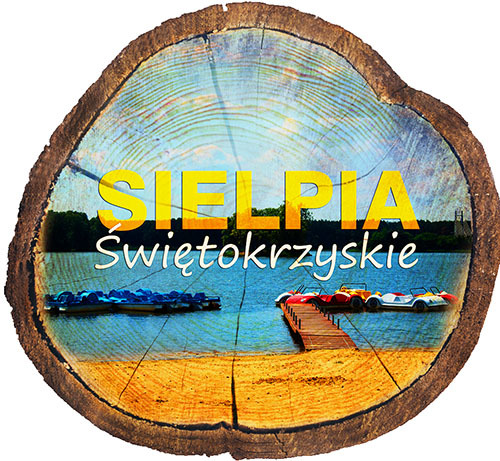 Magnes drewniany pieniek Sielpia