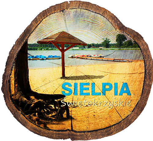 Magnes drewniany pieniek Sielpia