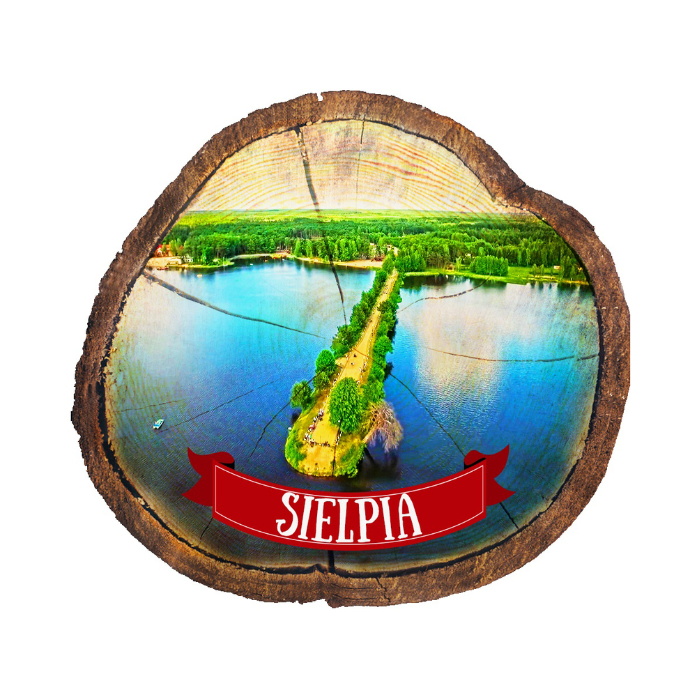 Magnes drewniany pieniek Sielpia
