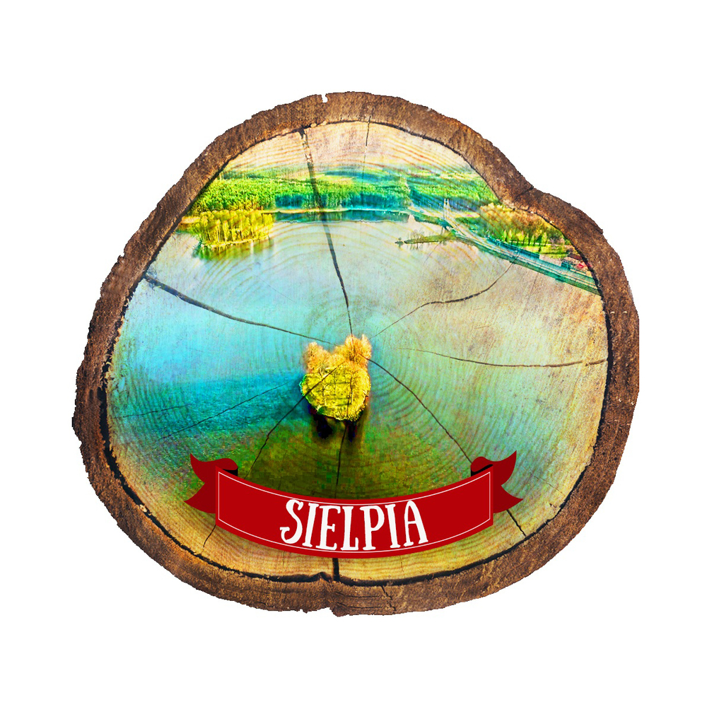 Magnes drewniany pieniek Sielpia