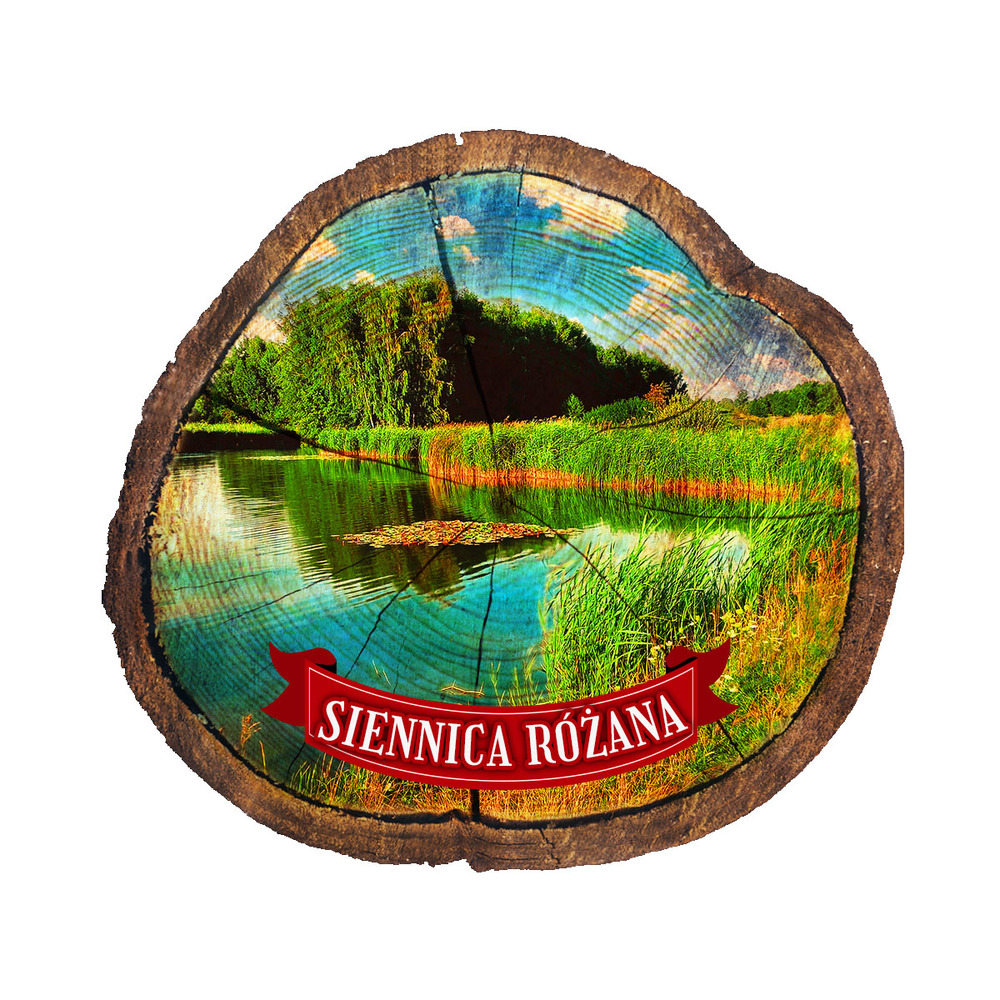 Magnes drewniany pieniek Siennica Różana