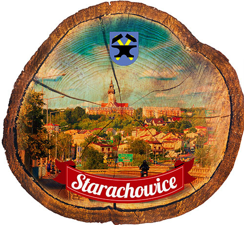 Magnes drewniany pieniek starachowice