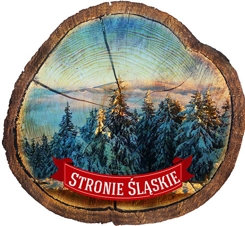 Magnes drewniany pieniek Stronie Śląskie
