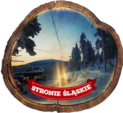 Magnes drewniany pieniek Stronie Śląskie
