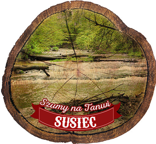 Magnes drewniany pieniek Susiec