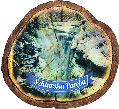 Magnes drewniany pieniek Szklarska Poręba