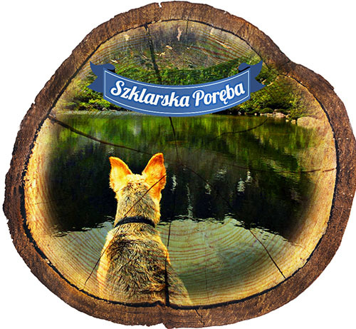 Magnes drewniany pieniek Szklarska Poręba
