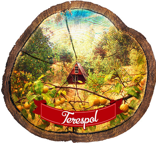 Magnes drewniany pieniek Terespol
