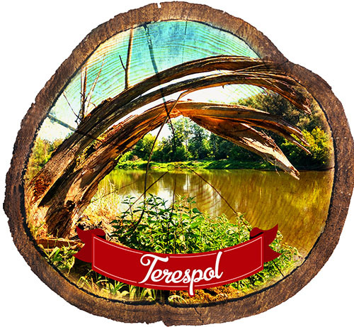 Magnes drewniany pieniek Terespol
