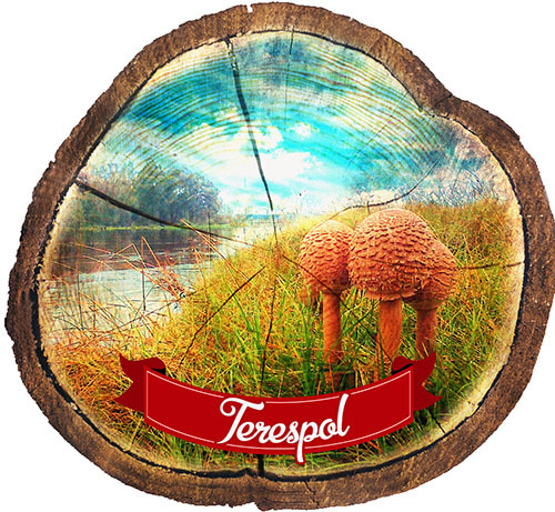 Magnes drewniany pieniek Terespol