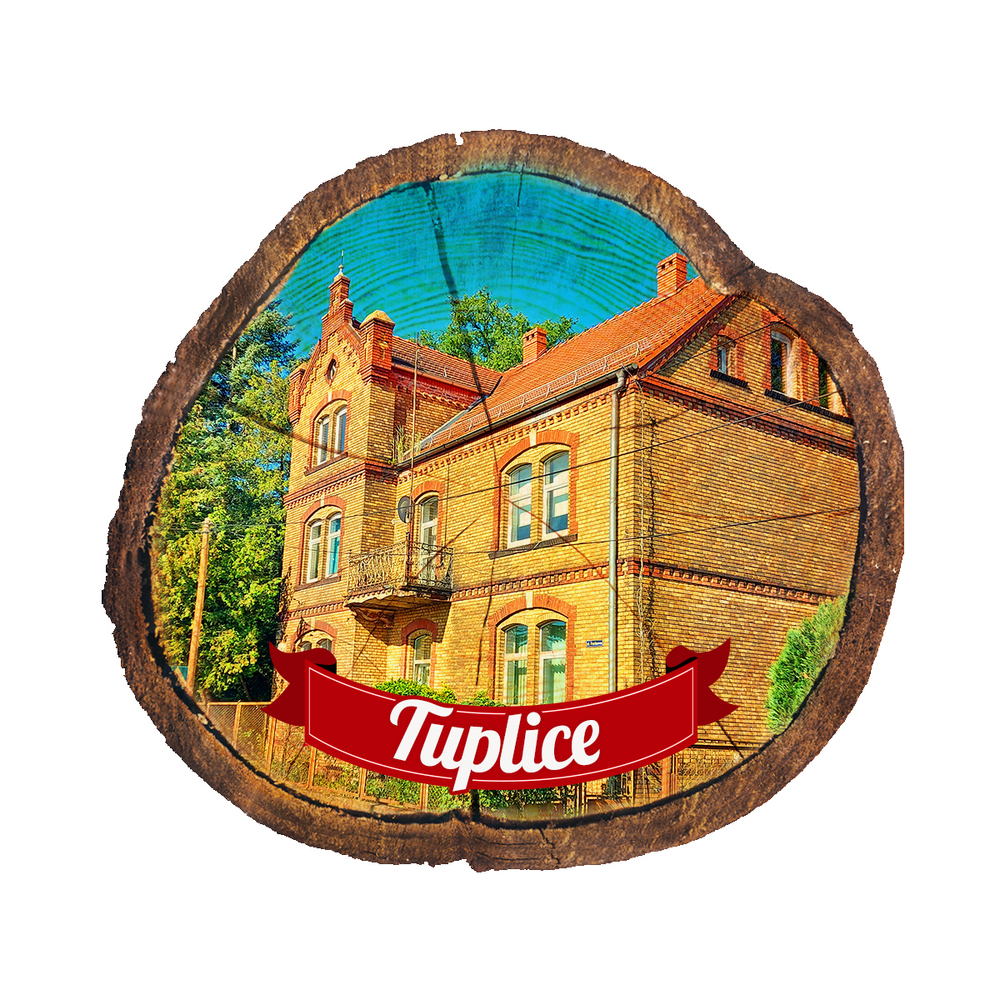 Magnes drewniany pieniek Tuplice