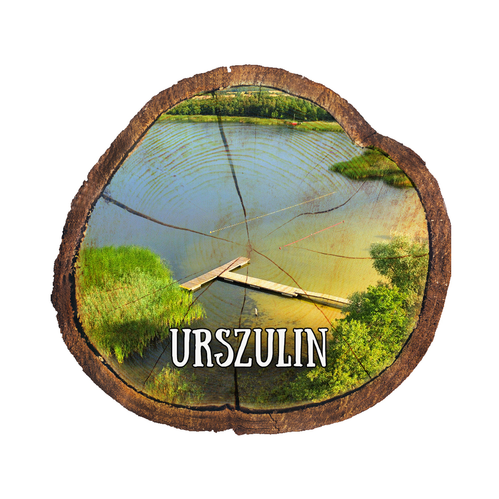 Magnes drewniany pieniek Urszulin