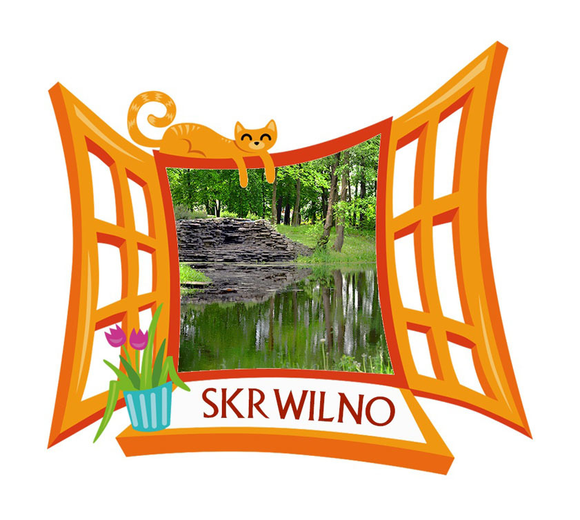 Polyresinowy magnes Okno Skrwilno