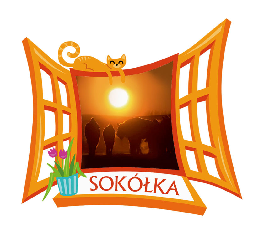 Polyresinowy magnes Okno Sokółka