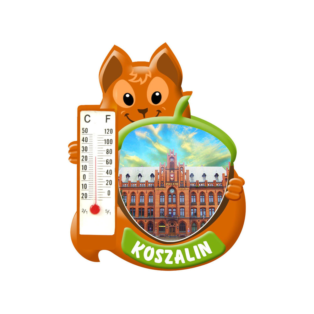 Polyresinowy magnes wiewiórka Koszalin