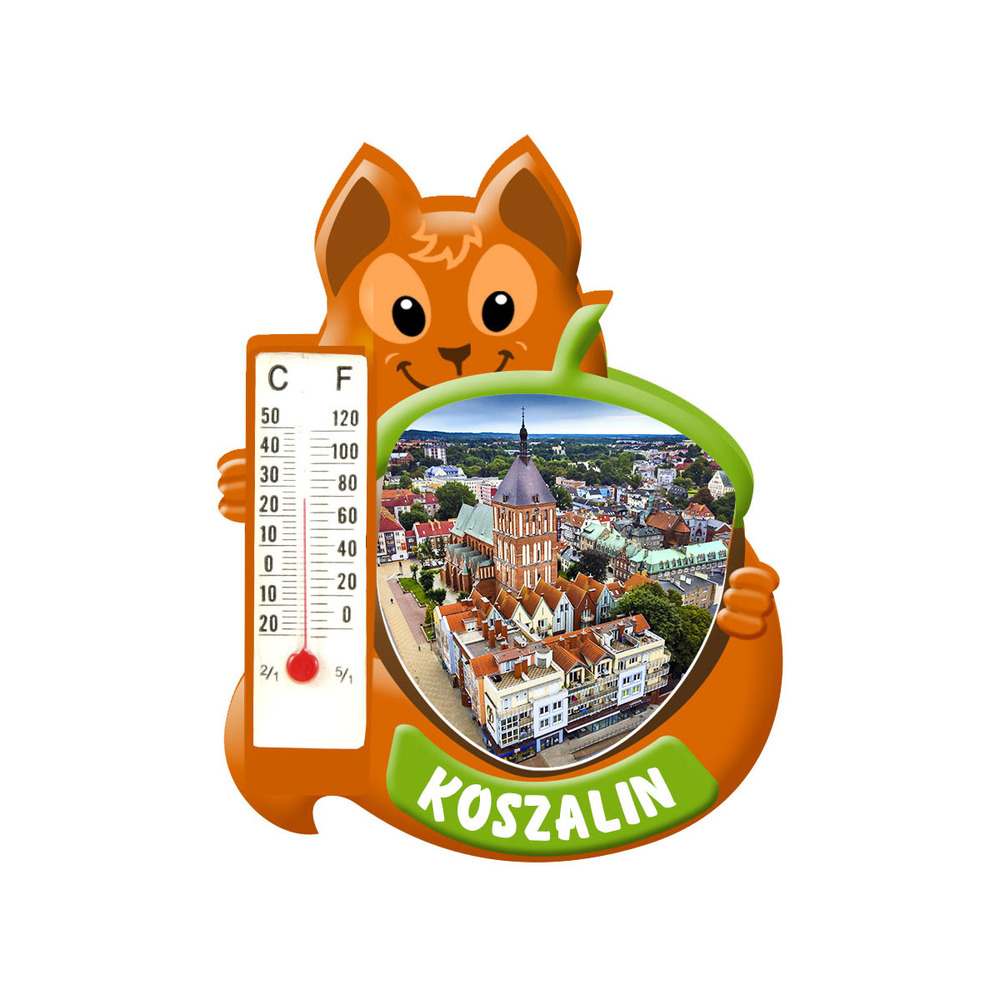 Polyresinowy magnes wiewiórka Koszalin