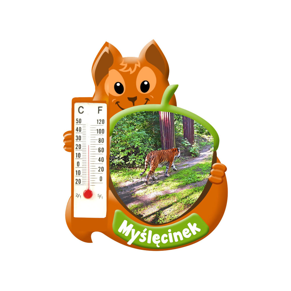 Polyresinowy magnes wiewiórka Myślęcinek