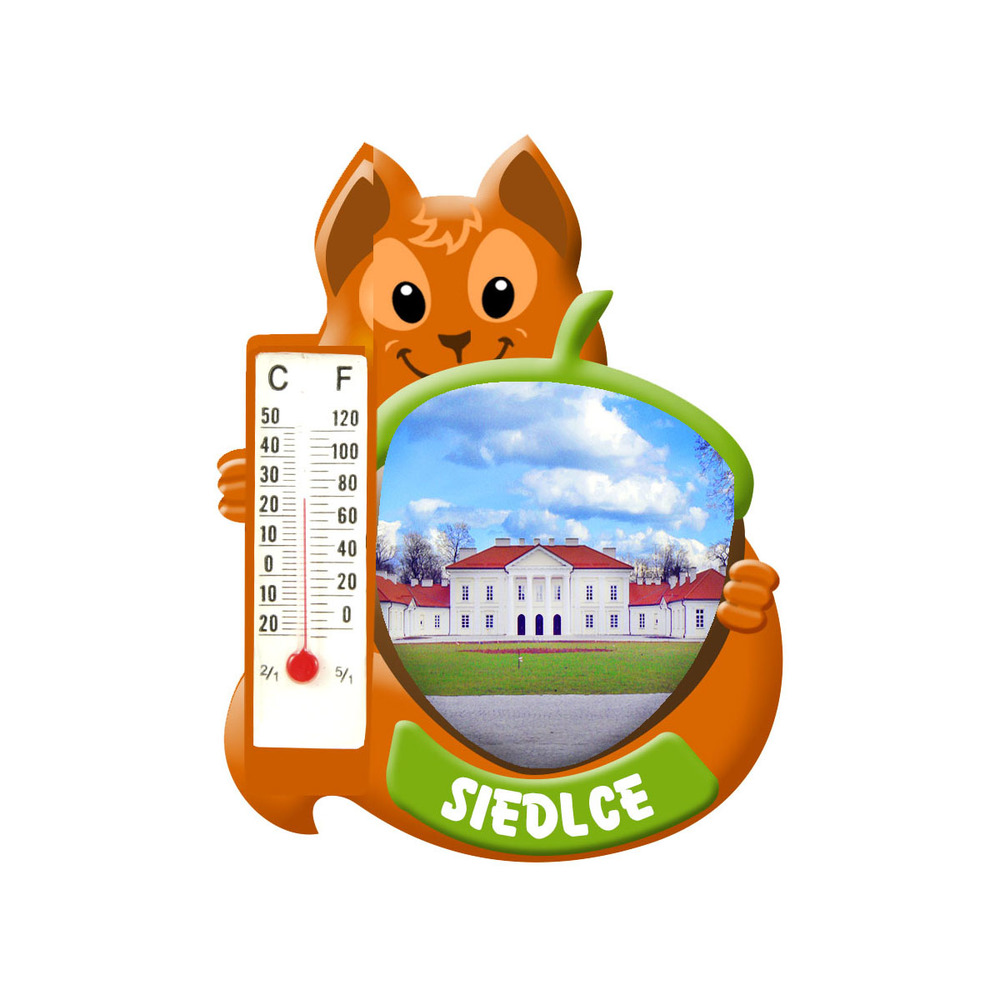 Polyresinowy magnes wiewiórka Siedlce