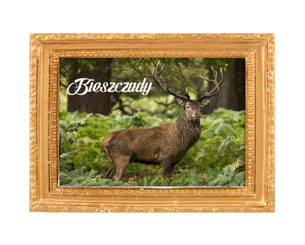 Polyresinowy magnes rama Bieszczady