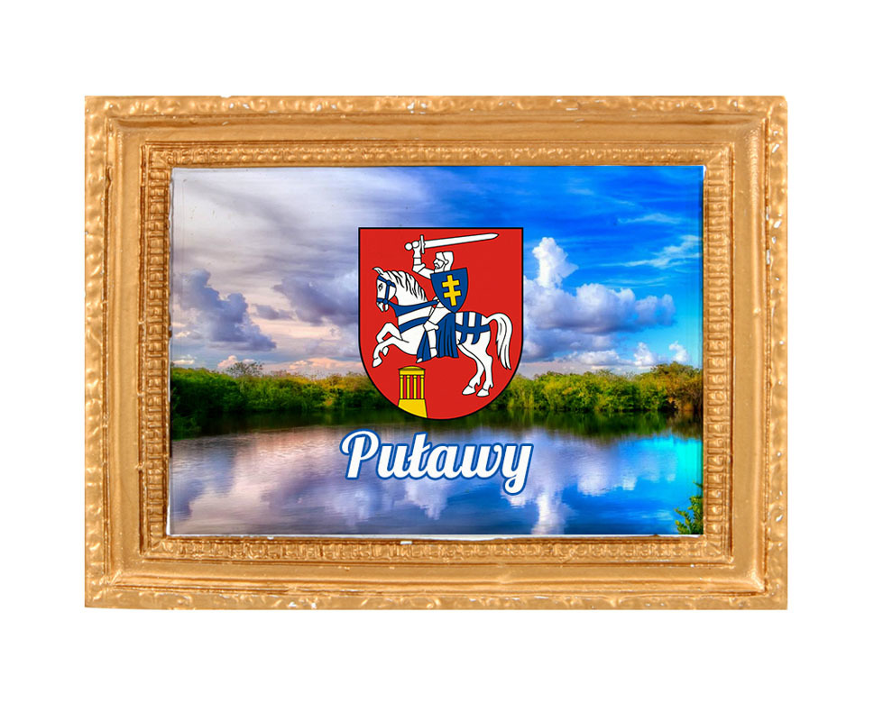 Polyresinowy magnes rama Puławy