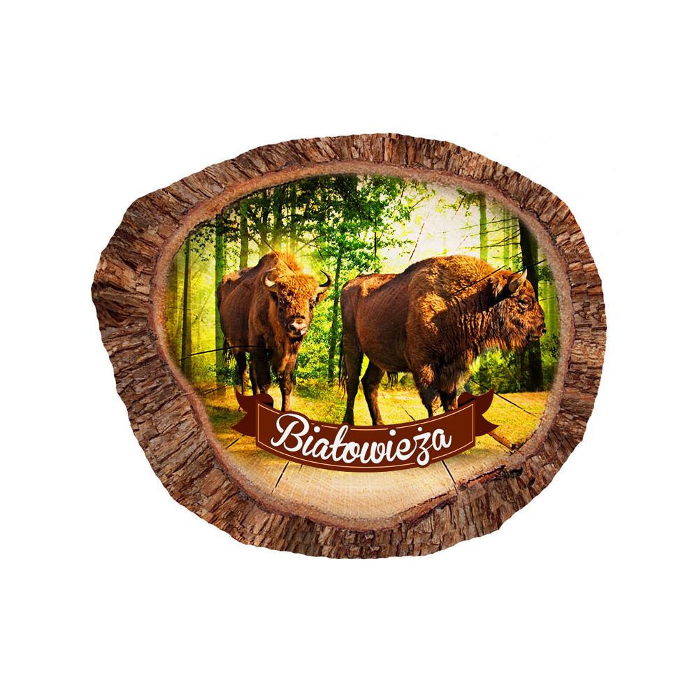 Magnes polyresinowy pieniek owal Białowieża