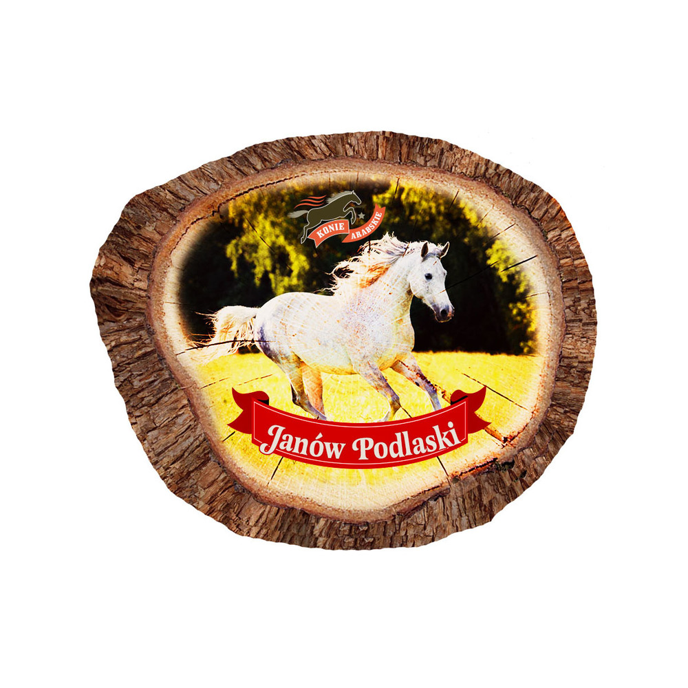 Magnes polyresinowy pieniek owal Janów Podlaski