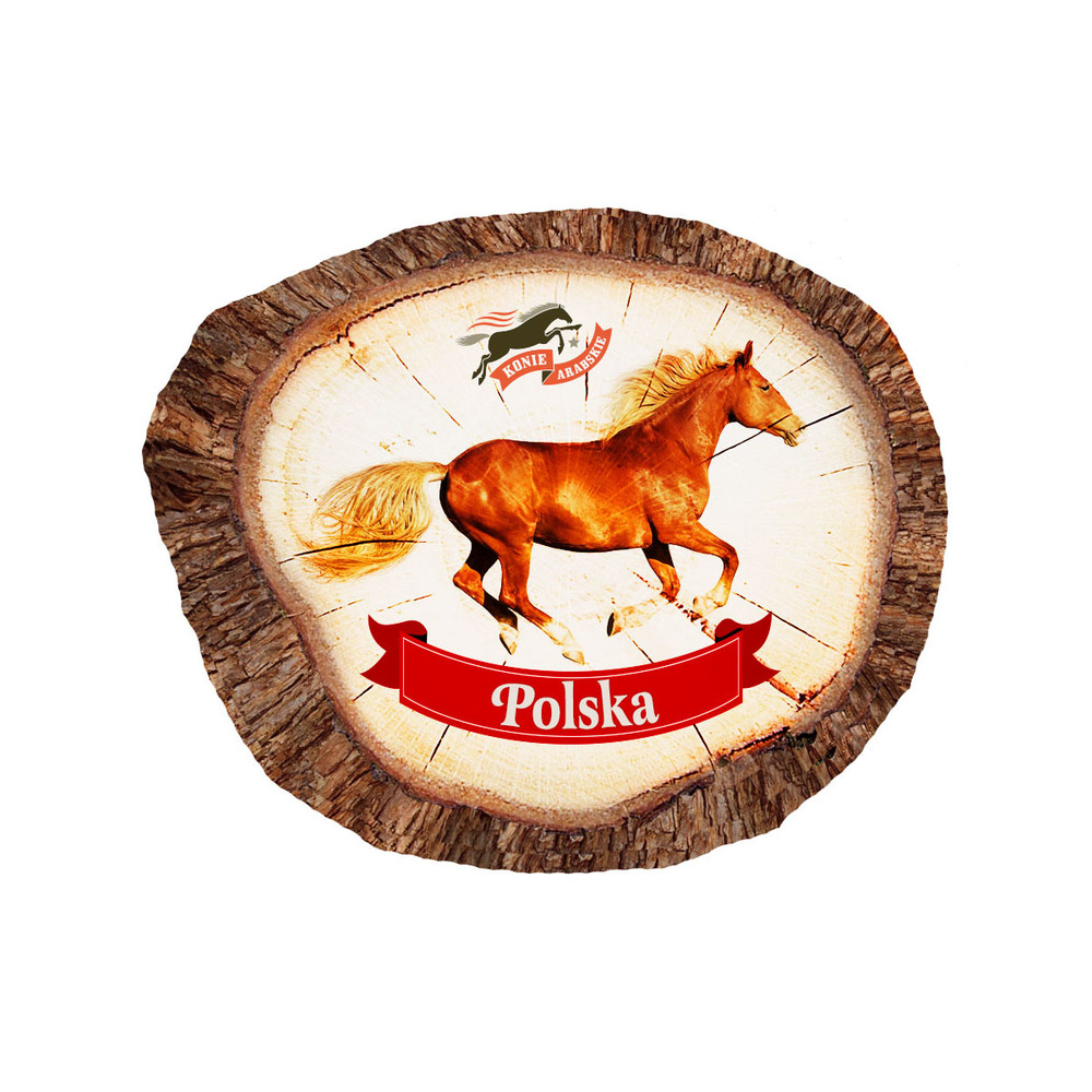 Magnes polyresinowy pieniek owal Janów Podlaski