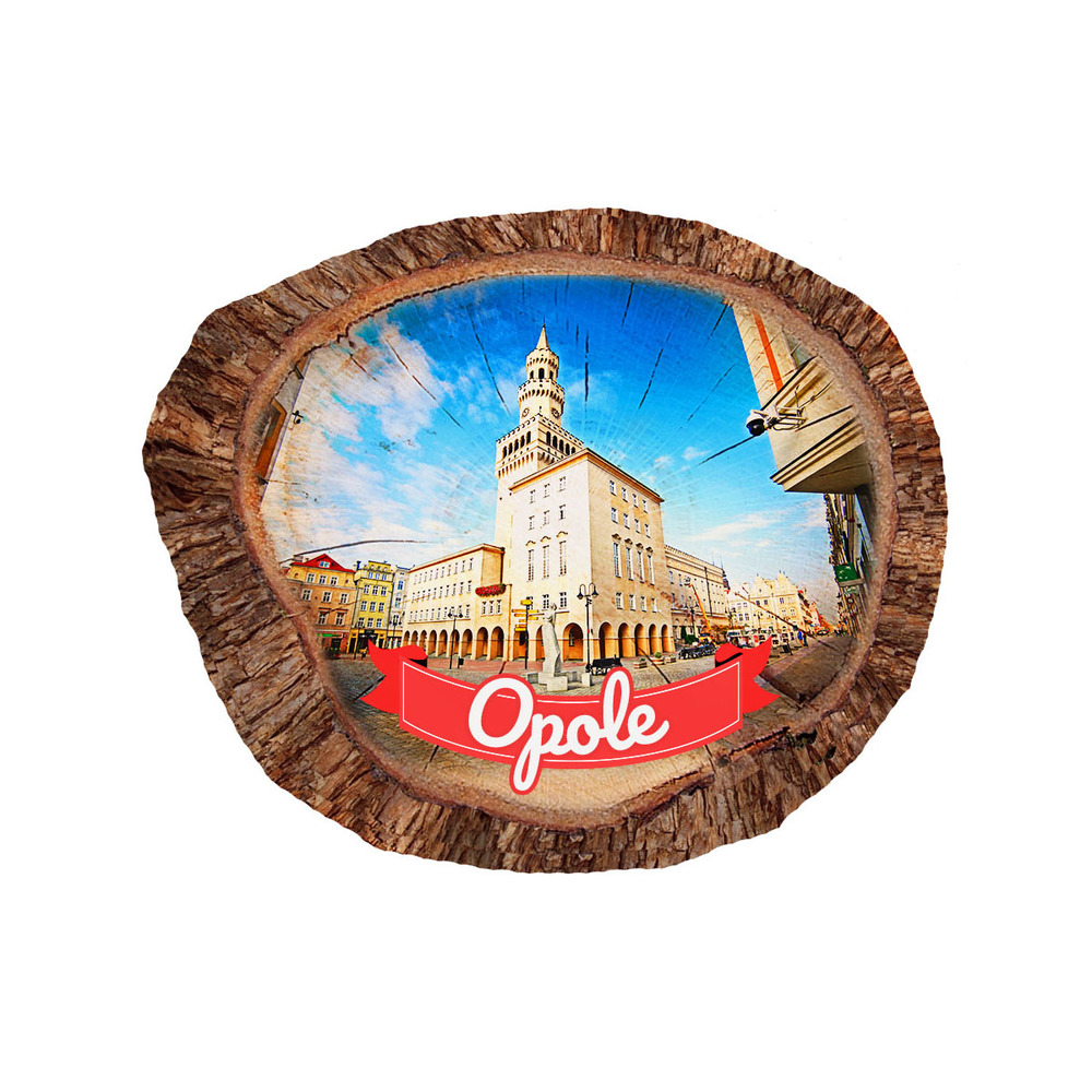 Magnes polyresinowy pieniek owal Opole