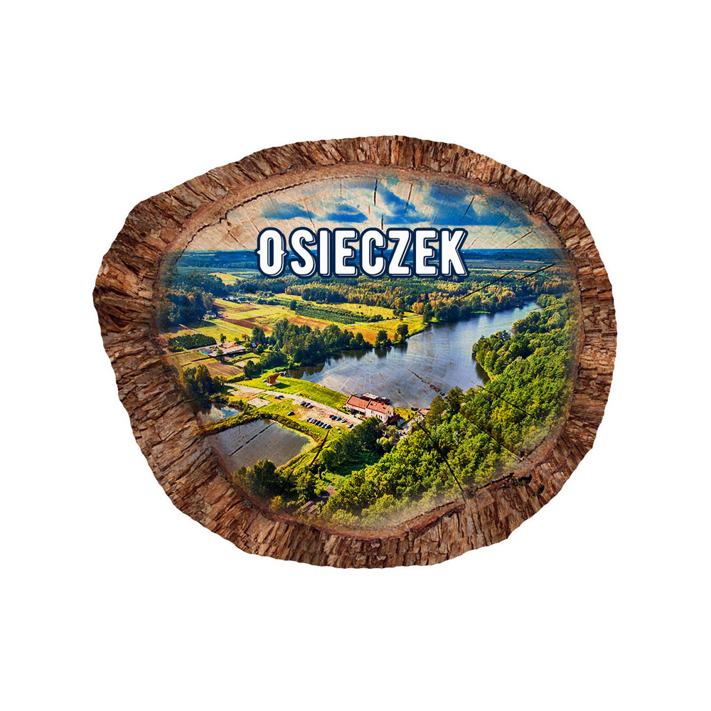 Magnes polyresinowy pieniek owal Osieczek