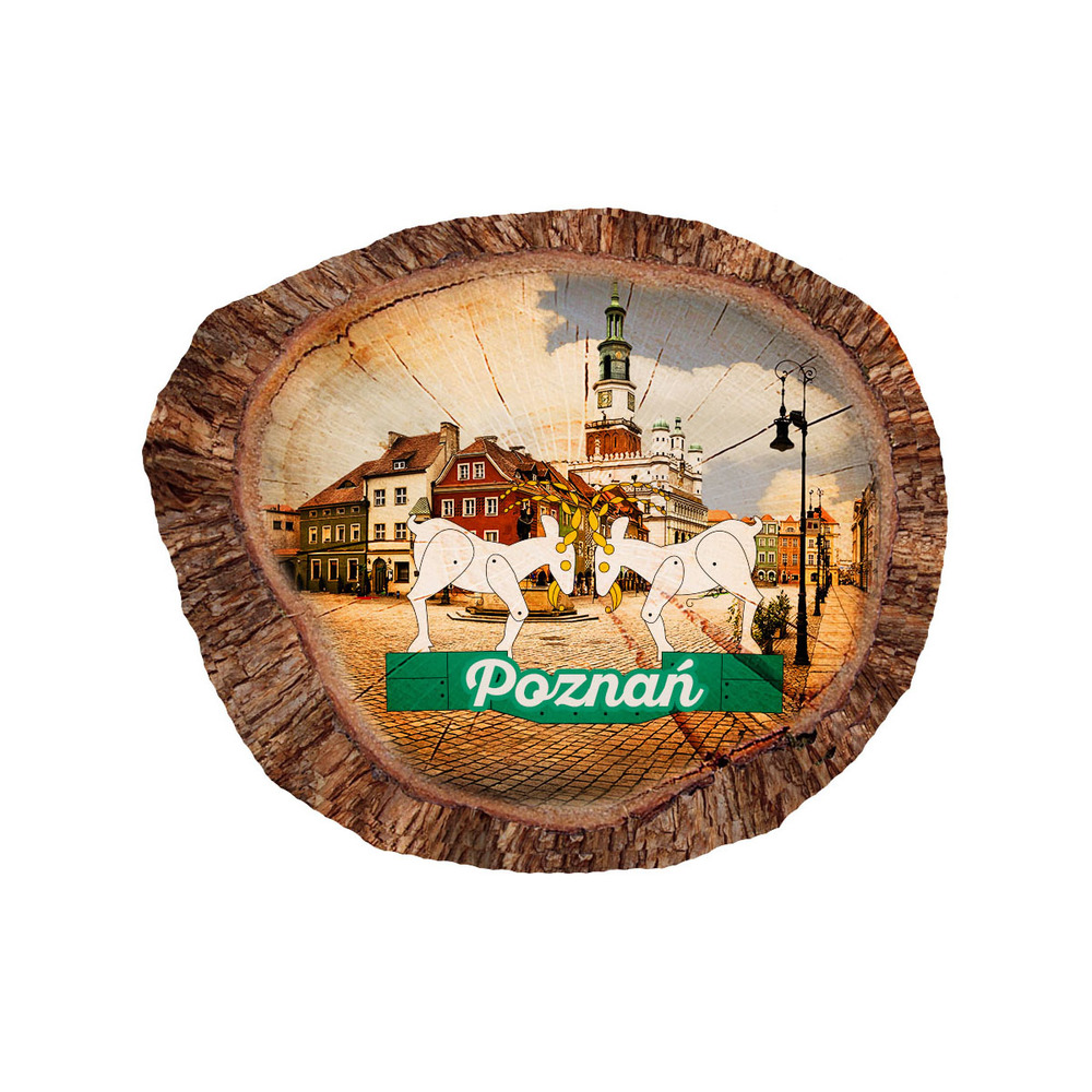 Magnes polyresinowy pieniek owal Poznań
