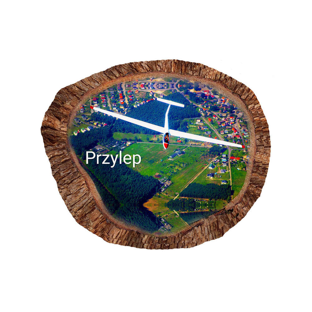 Magnes polyresinowy pieniek owal Przylep