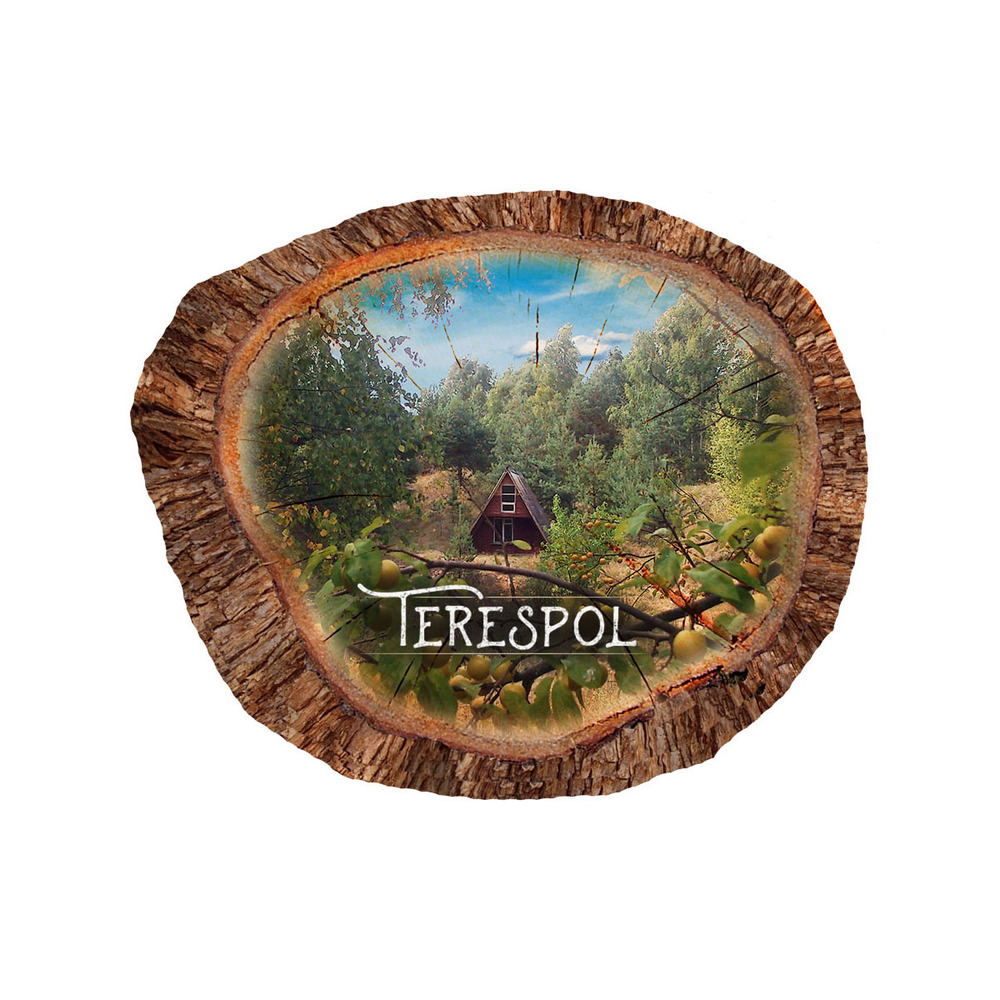 Magnes polyresinowy pieniek owal Terespol