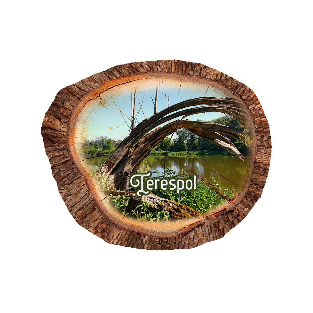 Magnes polyresinowy pieniek owal Terespol