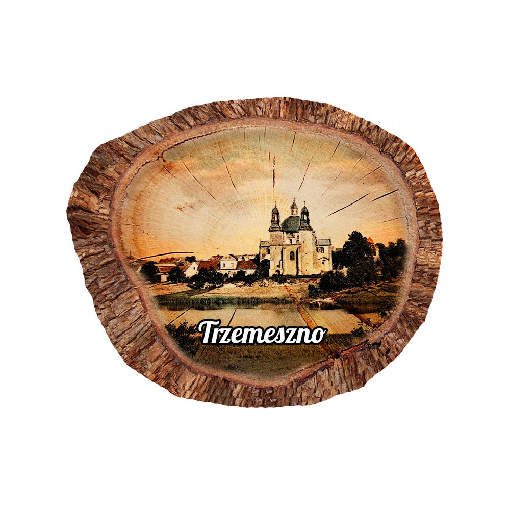 Magnes polyresinowy pieniek owal Trzemeszno