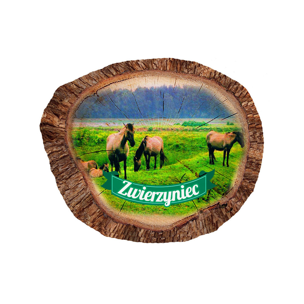Magnes polyresinowy pieniek owal Zwierzyniec