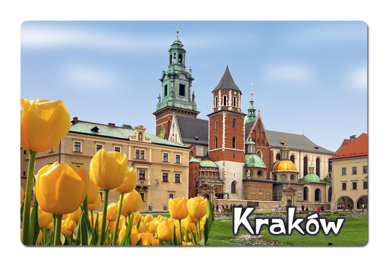 Magnes 3D Kraków Wawel