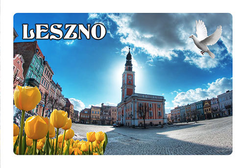 Magnes 3D Leszno rynek