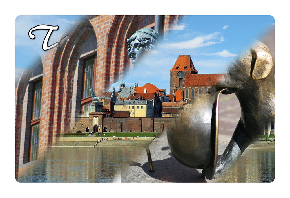 Magnes 4 w 1 Toruń