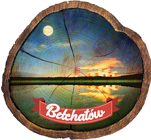 Magnes drewniany pieniek Bełchatów