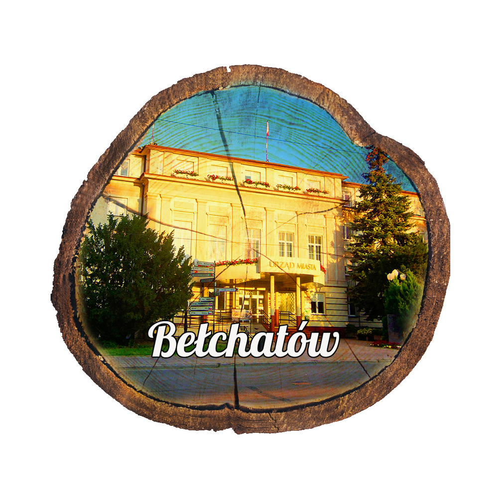 Magnes drewniany pieniek Bełchatów