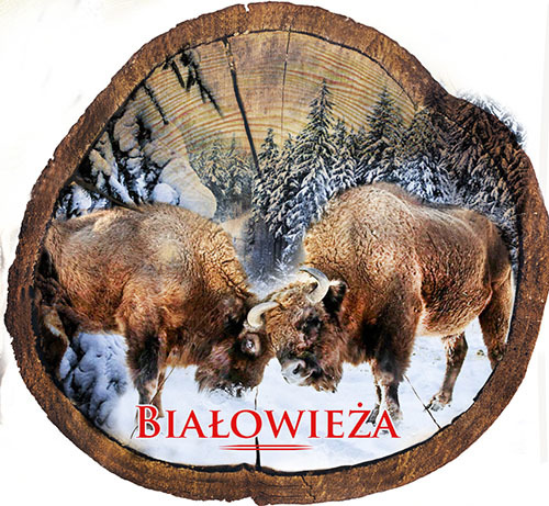 Magnes drewniany pieniek Białowieża