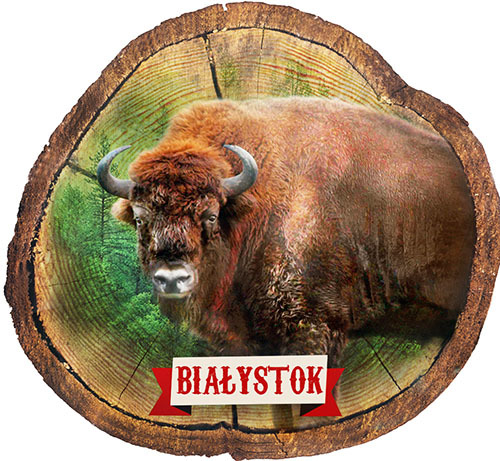 Magnes drewniany pieniek Białystok