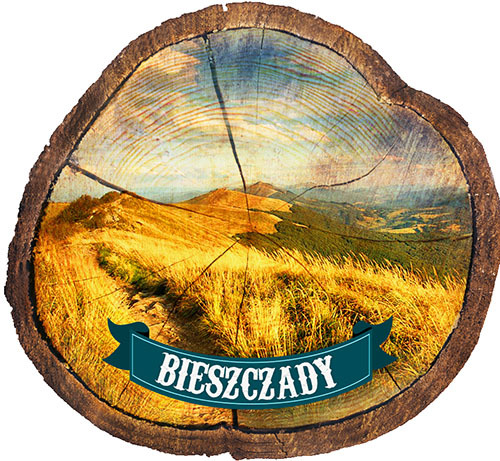 Magnes drewniany pieniek Bieszczady