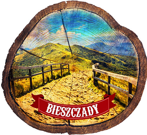 Magnes drewniany pieniek Bieszczady