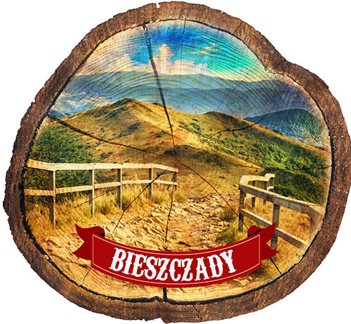 Magnes drewniany pieniek Bieszczady