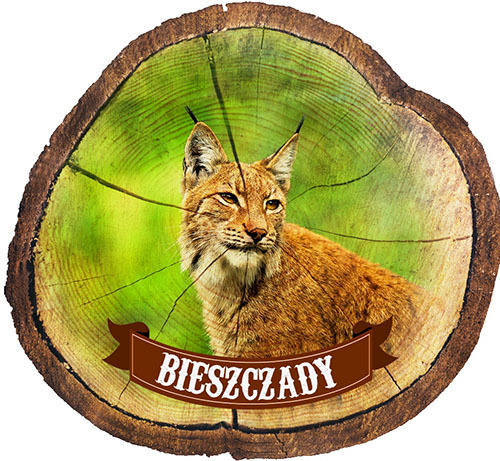 Magnes drewniany pieniek Bieszczady